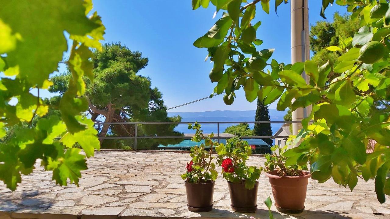 Apartments Gajo Omiš Kültér fotó